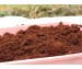 What Is Worm Bedding?...